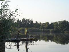 Concursuri - 2009